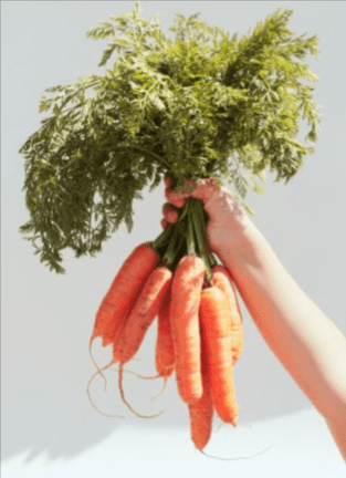 NovuVita Vir are în compoziția sa extract de morcov