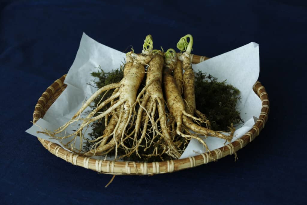 Stimido has in its composition ginseng root extract